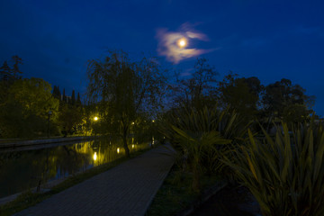 moonlit night on the river