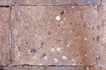 stein mit muscheln in San Gimignano