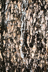 grunge wall background
