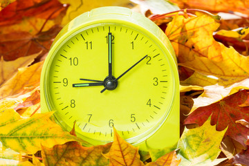 Alarm clock on autumn leaves