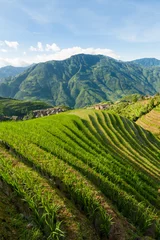 Afwasbaar fotobehang Longsheng rice terraces guilin china landscape © Juhku