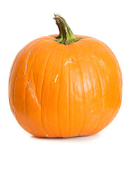 Pumpkin: Single Pumpkin on White