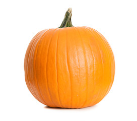 Pumpkin: Single Pumpkin on White