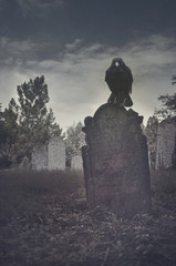 Fototapeta premium Graveyard