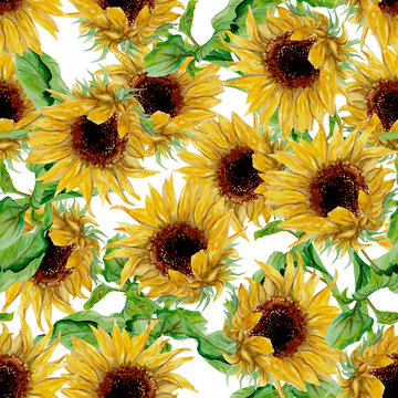 Seamless pattern with yellow sunflowers painted in watercolor on a white background