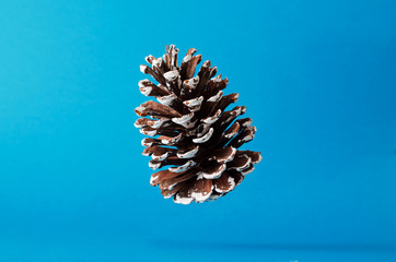 Christmas pinecone