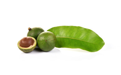 macadamia nuts on white background