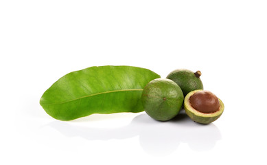 macadamia nuts on white background