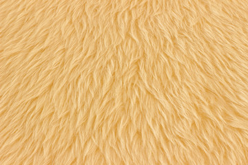 Fur texture