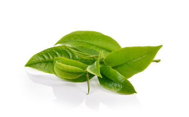 green tea leaf isolated on white background