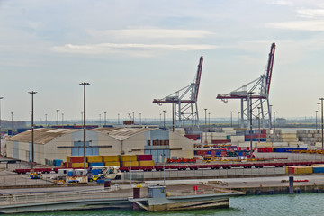 Fototapeta na wymiar Maritime port with loading cranes and containers