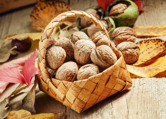 Autumn harvest of walnuts in a wicker basket on an old wooden ba