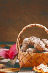 Autumn harvest of walnuts in a wicker basket on an old wooden ba