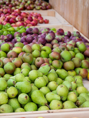 Haufenweise Äpfel