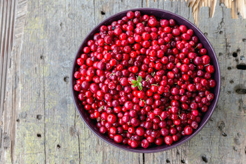 Schüssel mit frisch gepflückten Preiselbeeren