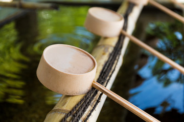 Traditional bamboo water scoop