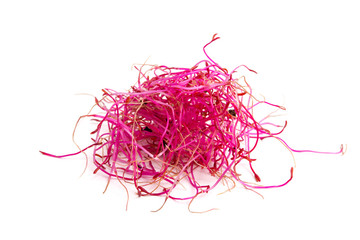 Rote Beete Sprossen