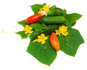 Tomatoes and cucumbers