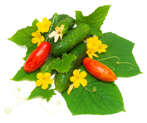 Tomatoes and cucumbers