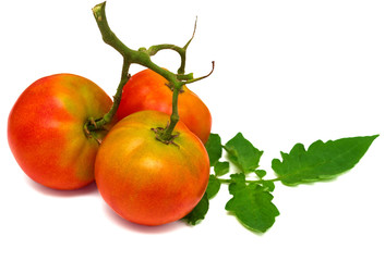 Tomatoes with leaves