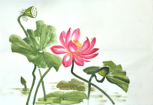 Lotus flower watercolor painting on a rice paper, original art, Asian style.