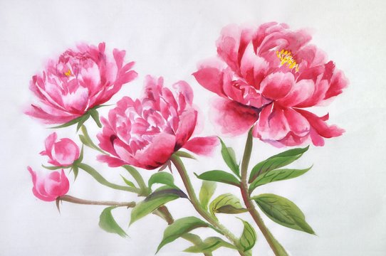 Pink peonies flowers closeup on a rice paper background, asian style painting.