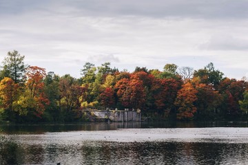 autumn view