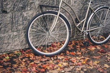 bicycle ride in autumn