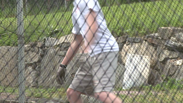 Boys baseball team at batting practice