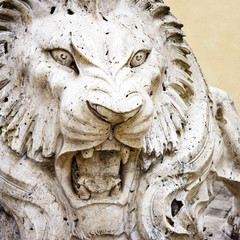 Closeup of stone lion's head - concept image