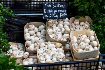 Mini button mushrooms for sale at a vegetable market