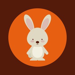 cute animal fall 