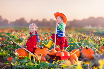 Kids picking pumpkins on Halloween pumpkin patch