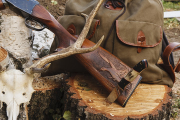 Rifle with horn on the wood