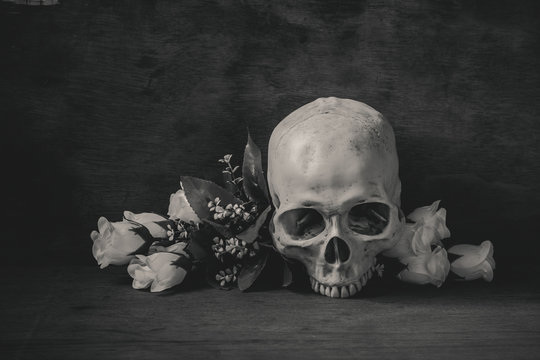 Still life black and white photography with human skull and rose