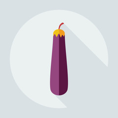 Flat modern design with shadow icons squash