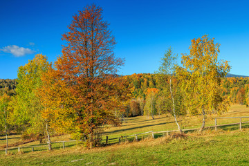 Colorful autumn landscape,Harghita mountains,Carpathians,Transylvania,Romania,Europe