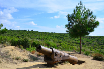 Old canon that was used in Gallipoli War in 1915 by Turkish Army.