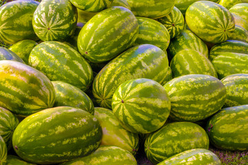 Cocomeri