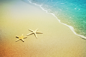 Fototapeta na wymiar starfish on a beach sand