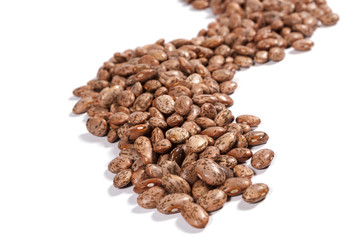Beans