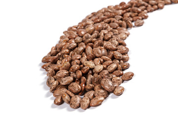 Beans
