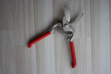 Pruning shears with red rubber handles.