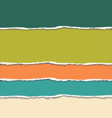 torn paper vector