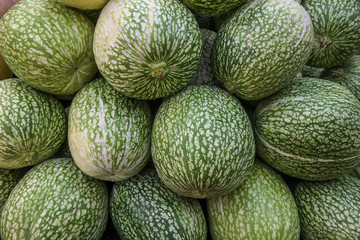 Water-melons on the market