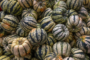 Fototapeta na wymiar Colorful pumpkins on the market