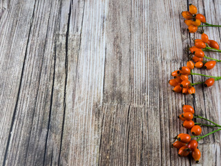 Herbstlicher Hintergrund altes Holz mit Hagebutten am rechten Rand