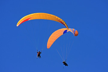 Tandem Paragliders
