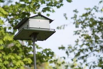 Bird house on sunny day
