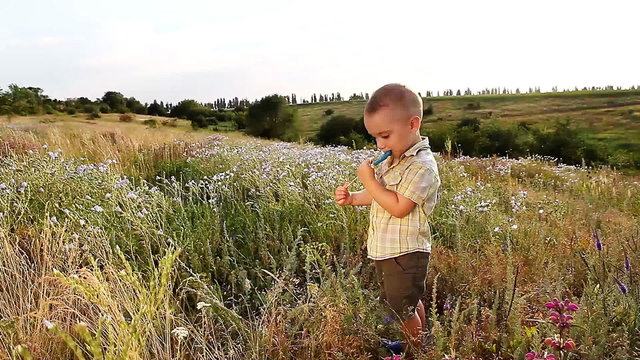 a charming child with a lollipop in nature HD